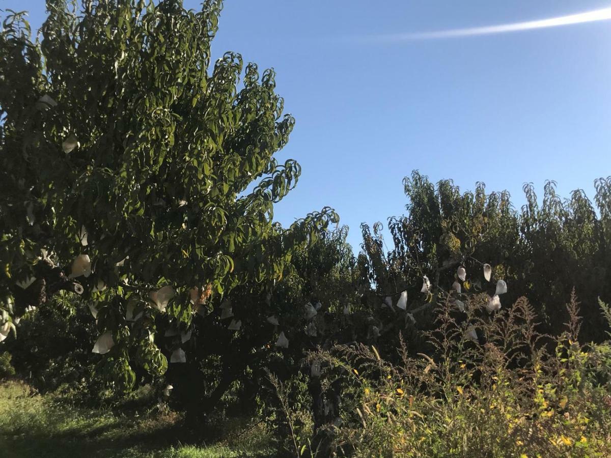 Apartamentos Calanda Kültér fotó
